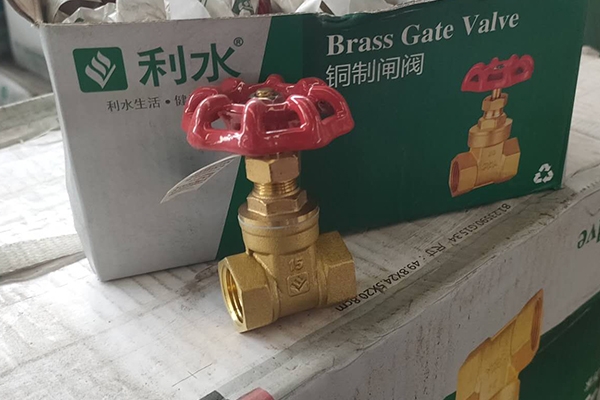 蘑菇视频成人在线观看